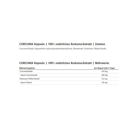 ProFuel CURCUMA Extrakt (90 Kapseln)